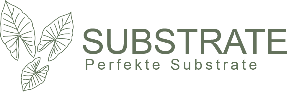 Zur Startseite gehen